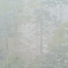 Обои AR11218-04 Артекс Forest 10.05x1.06