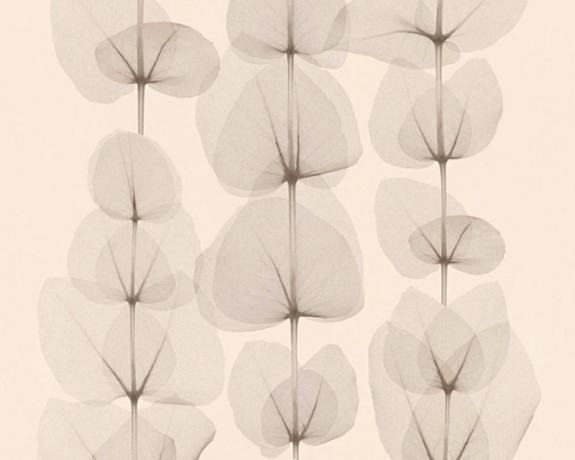 Обои AS Creation X-Ray 34245-1